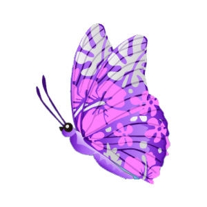 Benihana Beach Butterfly